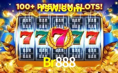Br888 - Login Methods