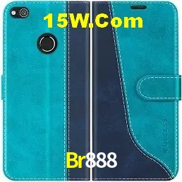 Sistemas de Segurança Br888